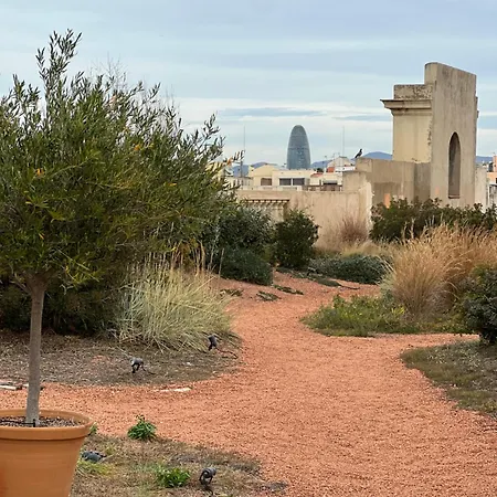 Porxos Garden